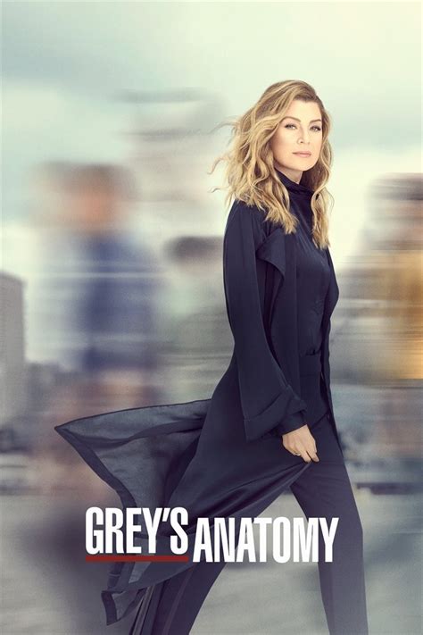 grey's anatomy season 16|Season 16 (Grey's Anatomy).